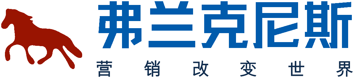 北京弗兰克尼斯科技有限公司-中国唯一一家只做网络营销咨询服务的公司
